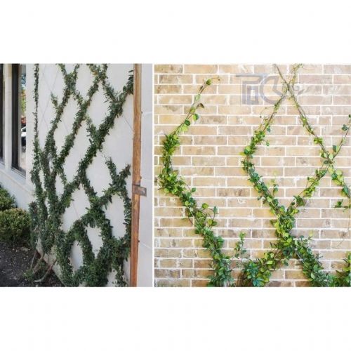 TIG啟思工業 植物攀爬鋼索配件 植生網/鋼索/鋼索網/不銹鋼鋼索配件/攀爬網/