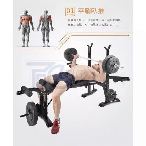 TIG啟思工業 舉重床/ 舉重椅/啞鈴椅/啞鈴/槓片 另售仰臥板 啞鈴 單槓 拳擊 滑板車 引體向上 跑步機 訓練台 拉筋板