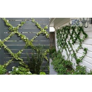 TIG啟思工業 植物攀爬鋼索配件 植生網/鋼索/鋼索網/不銹鋼鋼索配件/攀爬網/